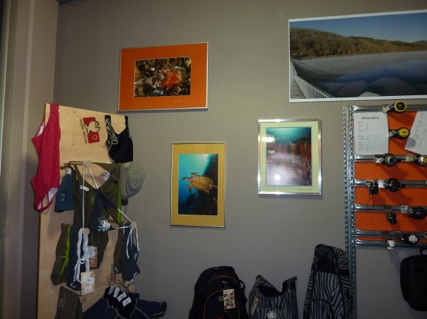 Splash Shop (IQ-The company corner)