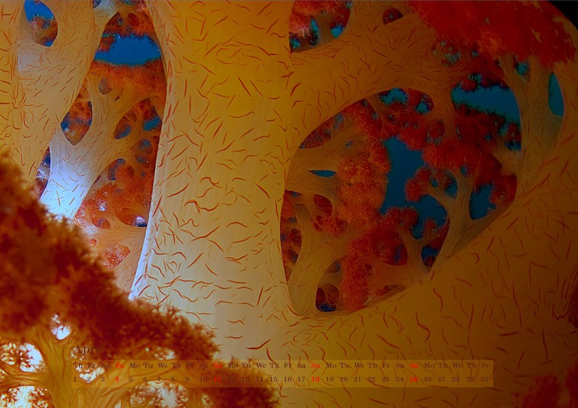 April April Wallpaper