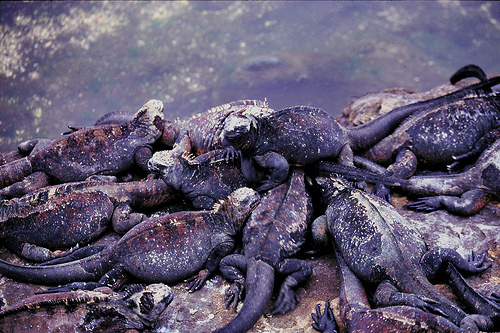 meeting up with friends