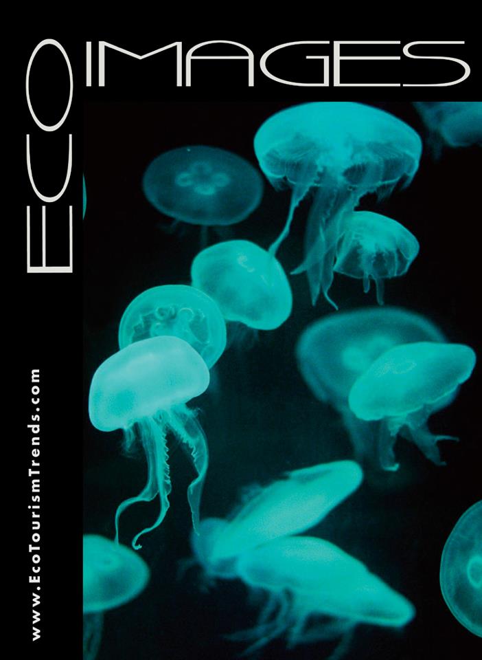 181002_10151492379553180_1100157786_n