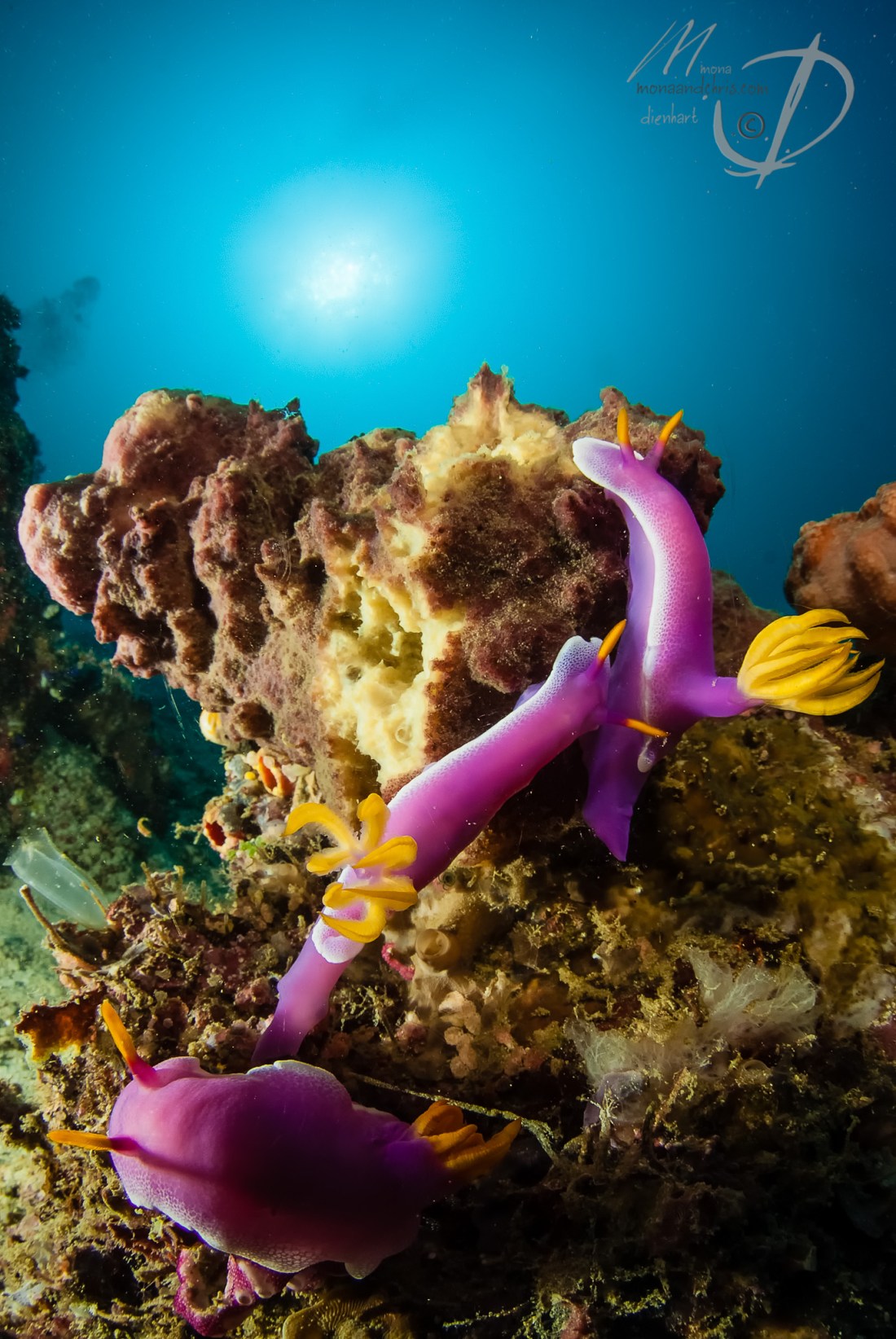 Sulawesi indonesia 2013