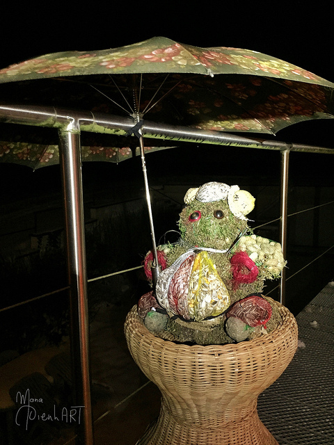 16159516592_6e83893554_z